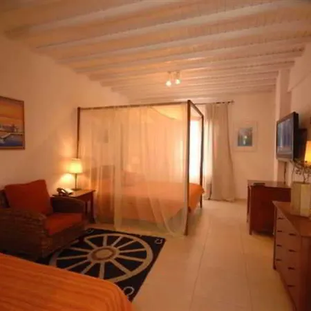 Hotel Dionysos Luxury Mykonos 4*